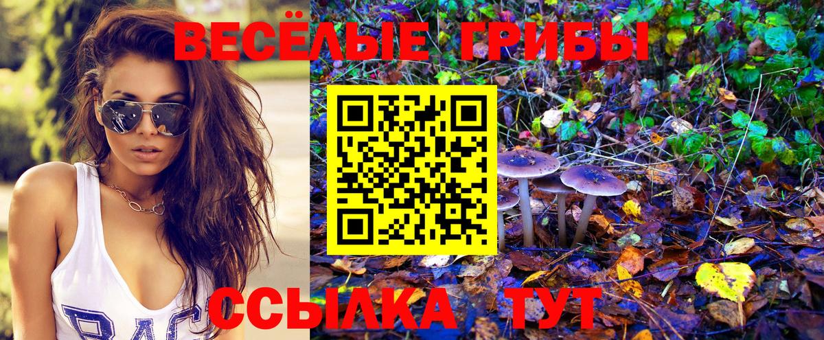 Набережные Челны  Галлюциногенные грибы GOLDEN TEACHER  Вход с VPN 